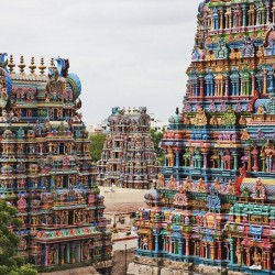 Sightseeing Tour of Madurai (1D)
